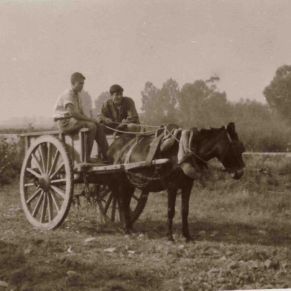 Castillo_y_Dominguito
