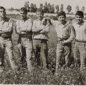 Serrato...._Mrquez_Lozano