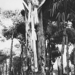 Hecho_por_Salvador_M.M.23x9x1963